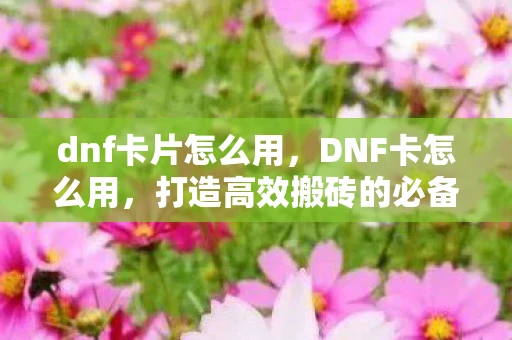 dnf卡片怎么用，DNF卡怎么用，打造高效搬砖的必备攻略