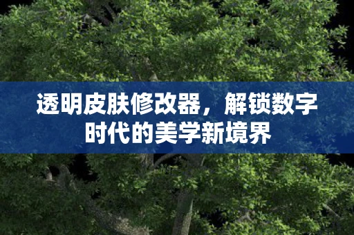透明皮肤修改器，解锁数字时代的美学新境界