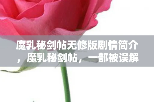 魔乳秘剑帖无修版剧情简介，魔乳秘剑帖，一部被误解的杰作