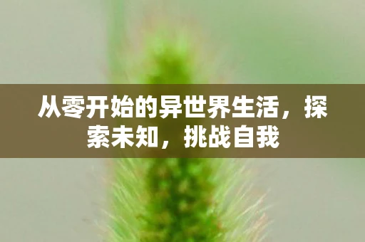 从零开始的异世界生活，探索未知，挑战自我