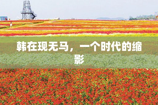 韩在现无马，一个时代的缩影