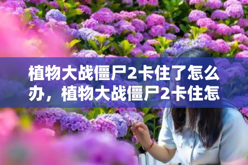 植物大战僵尸2卡住了怎么办，植物大战僵尸2卡住怎么办？