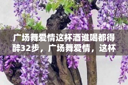 广场舞爱情这杯酒谁喝都得醉32步，广场舞爱情，这杯酒，谁喝都得醉