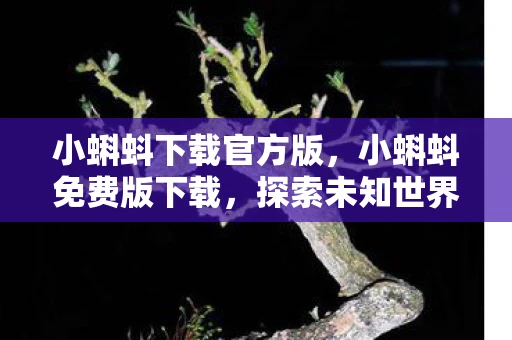 小蝌蚪下载官方版，小蝌蚪免费版下载，探索未知世界的奇妙之旅