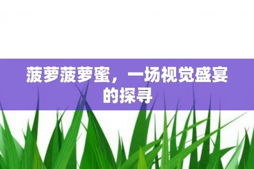 菠萝菠萝蜜，一场视觉盛宴的探寻