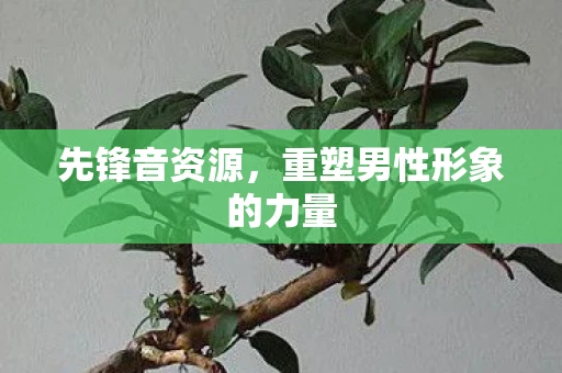 先锋音资源，重塑男性形象的力量