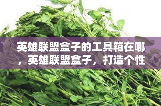 英雄联盟盒子的工具箱在哪，英雄联盟盒子，打造个性化游戏体验的必备神器