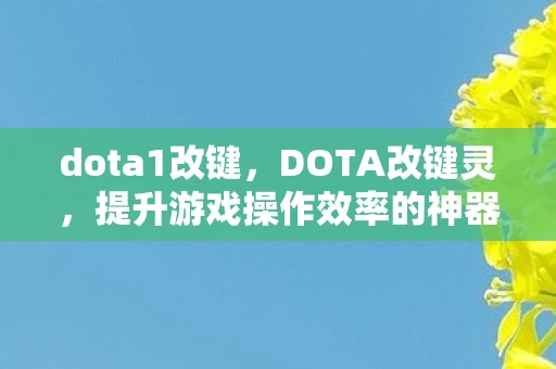 dota1改键，DOTA改键灵，提升游戏操作效率的神器