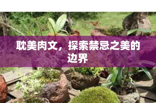 耽美肉文，探索禁忌之美的边界