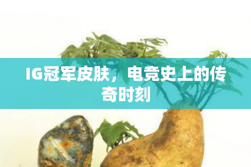 IG冠军皮肤，电竞史上的传奇时刻