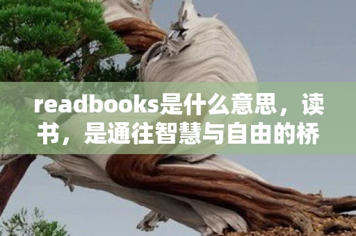 readbooks是什么意思，读书，是通往智慧与自由的桥梁