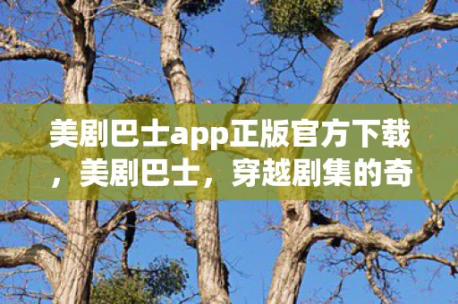 美剧巴士app正版官方下载，美剧巴士，穿越剧集的奇幻之旅