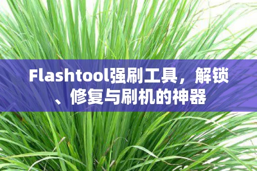 Flashtool强刷工具，解锁、修复与刷机的神器