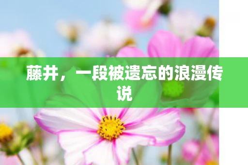 藤井，一段被遗忘的浪漫传说