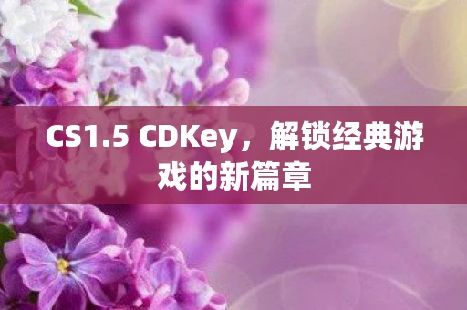 CS1.5 CDKey，解锁经典游戏的新篇章