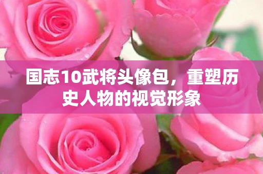 国志10武将头像包，重塑历史人物的视觉形象