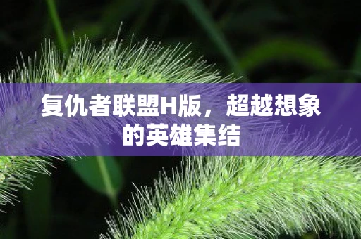 复仇者联盟H版,超越想象的英雄集结 复仇者联盟H版,超越想象的英雄集结