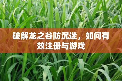 破解龙之谷防沉迷，如何有效注册与游戏