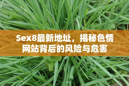 Sex8最新地址，揭秘色情网站背后的风险与危害