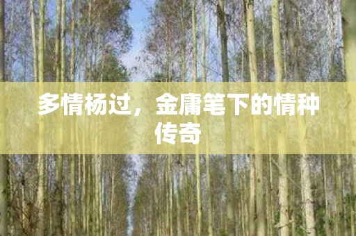 多情杨过，金庸笔下的情种传奇