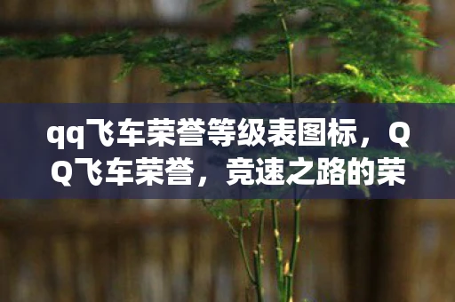 qq飞车荣誉等级表图标，QQ飞车荣誉，竞速之路的荣耀与梦想