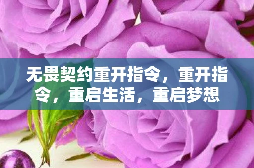 无畏契约重开指令，重开指令，重启生活，重启梦想