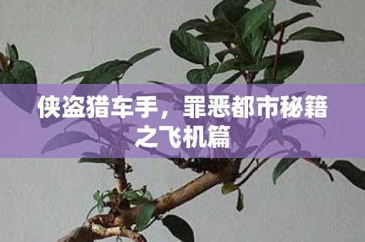 侠盗猎车手，罪恶都市秘籍之飞机篇