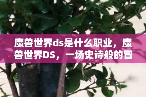 魔兽世界ds是什么职业，魔兽世界DS，一场史诗般的冒险之旅