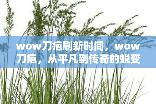 wow刀疤刷新时间，wow刀疤，从平凡到传奇的蜕变之路