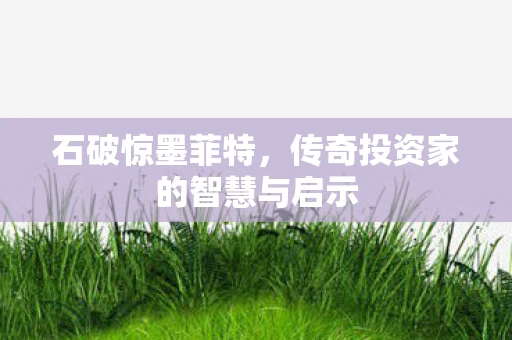 石破惊墨菲特，传奇投资家的智慧与启示