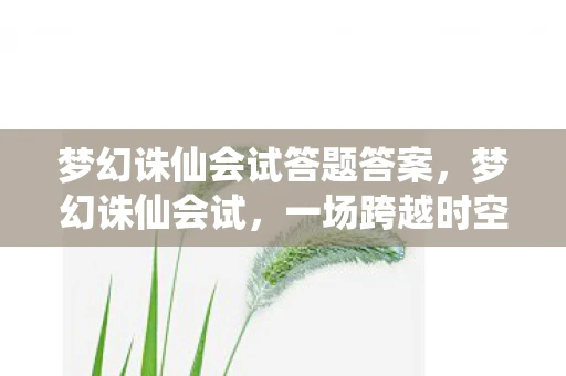 梦幻诛仙会试答题答案，梦幻诛仙会试，一场跨越时空的仙侠盛宴