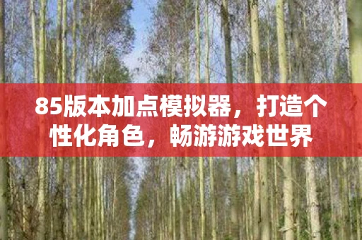 85版本加点模拟器，打造个性化角色，畅游游戏世界