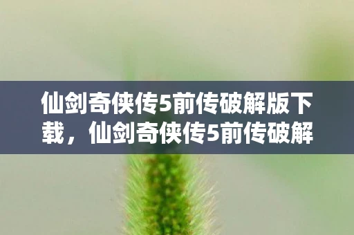 仙剑奇侠传5前传破解版下载，仙剑奇侠传5前传破解版，重温经典，还是破坏情怀？