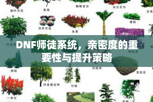 亲密度的重要性与提升策略图片