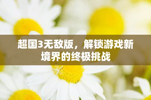 超国3无敌版，解锁游戏新境界的终极挑战
