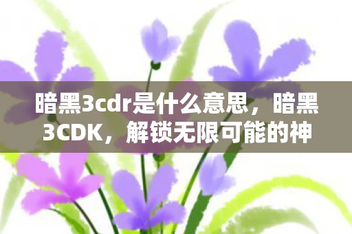 暗黑3cdr是什么意思，暗黑3CDK，解锁无限可能的神秘钥匙