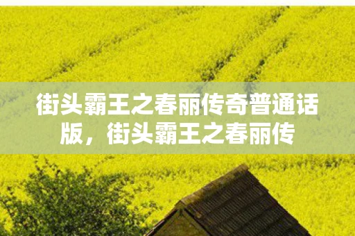 街头霸王之春丽传奇普通话版，街头霸王之春丽传