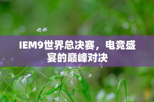 IEM9世界总决赛,电竞盛宴的巅峰对决 IEM9世界总决赛,电竞盛宴的巅峰对决