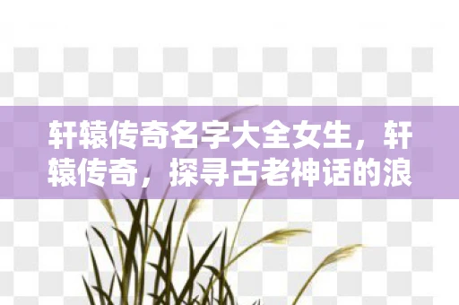 轩辕传奇名字大全女生，轩辕传奇，探寻古老神话的浪漫名字