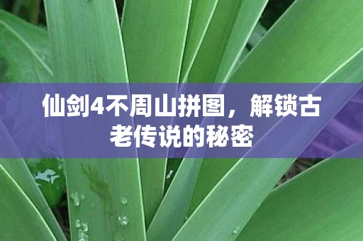 仙剑4不周山拼图，解锁古老传说的秘密