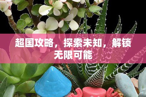 超国攻略，探索未知，解锁无限可能