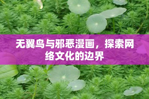 无翼鸟与邪恶漫画，探索网络文化的边界