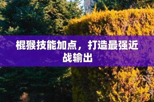 棍猴技能加点，打造最强近战输出