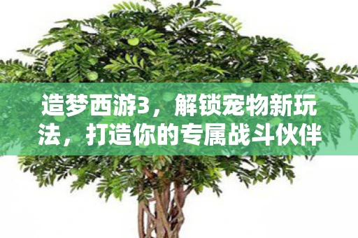 造梦西游3，解锁宠物新玩法，打造你的专属战斗伙伴