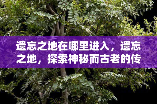 遗忘之地在哪里进入，遗忘之地，探索神秘而古老的传说