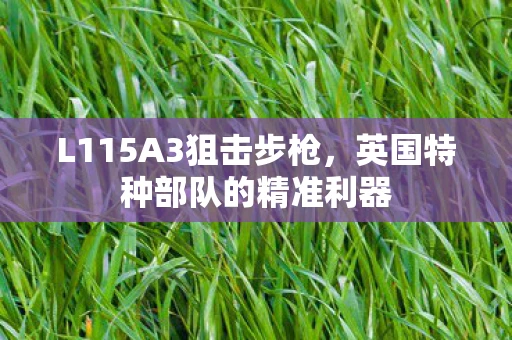 L115A3狙击步枪，英国特种部队的精准利器
