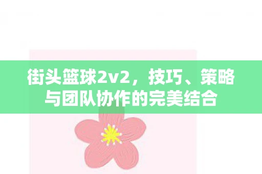 街头篮球2v2，技巧、策略与团队协作的完美结合