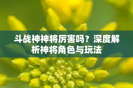 斗战神神将厉害吗？深度解析神将角色与玩法