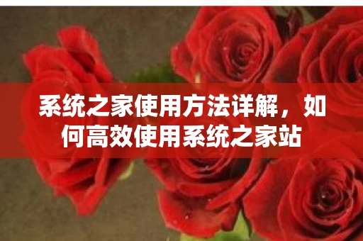 如何高效使用系统之家站图片