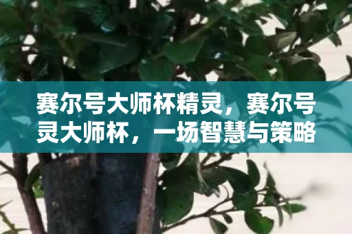 赛尔号大师杯精灵，赛尔号灵大师杯，一场智慧与策略的盛宴